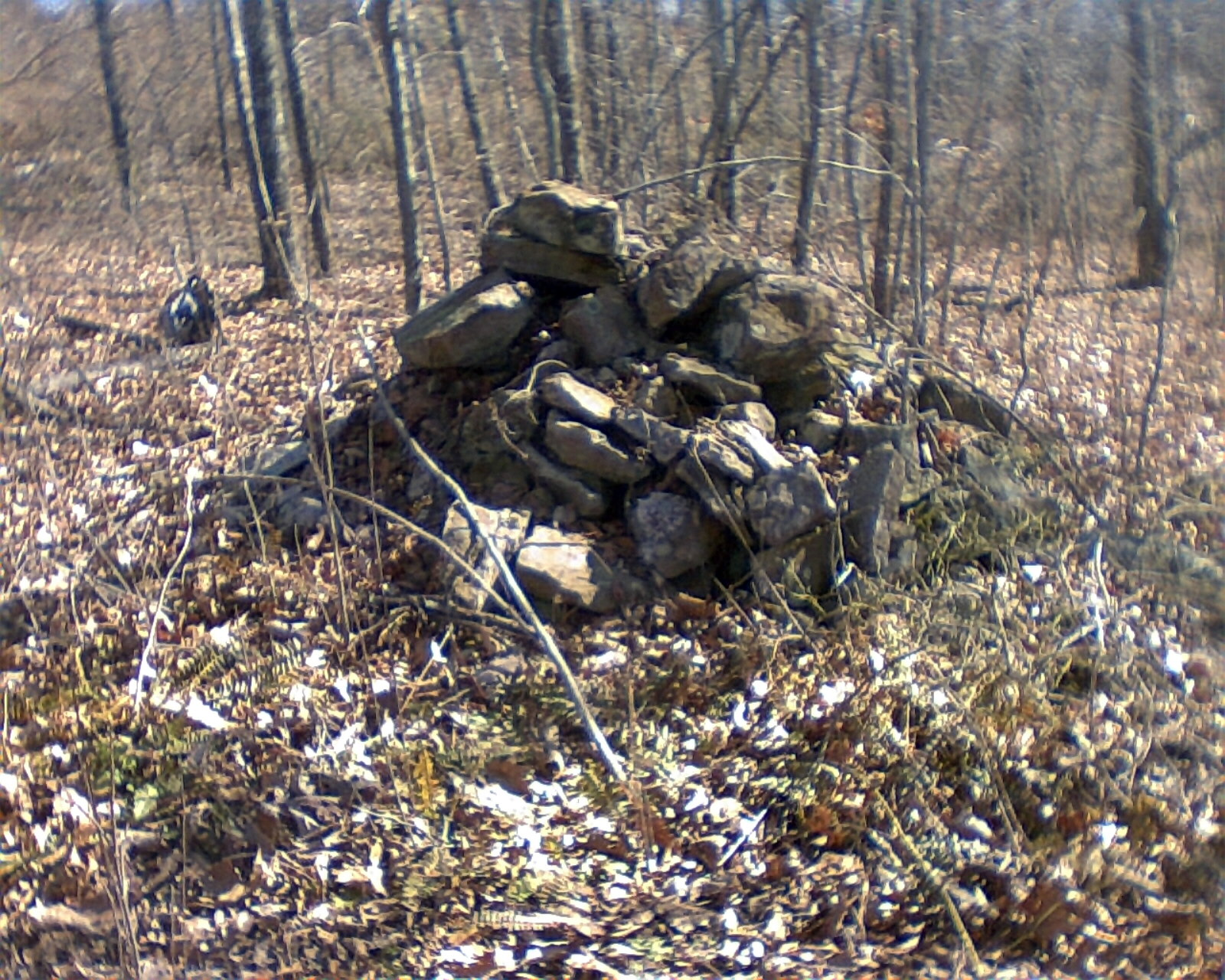 Rock Piles Are these Native American? From a 4000 acre n.e. Kentucky Farm