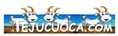 Tejuçuoca.com