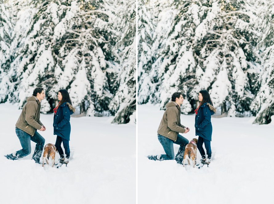 Romantic Winter Surprise Proposal by Something Minted Photography