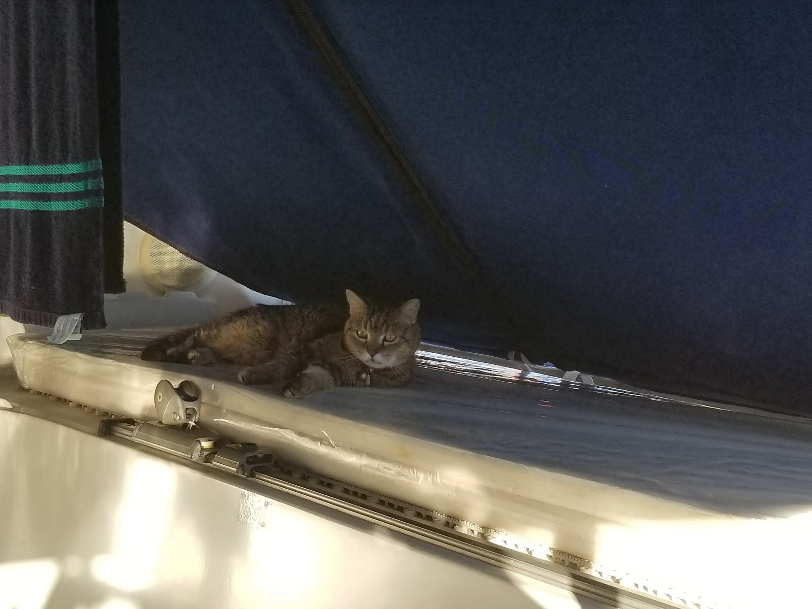 Sailing Saga Sea Rain In The Jungle We Are Almost Ready To Push Off The Dock And Head Over Have Saga Sea Hauled Out For A Quick Bottom Job Then Will Watch Good Weather Window