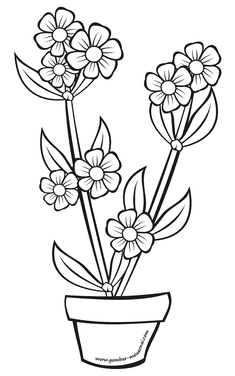 Top Gambar Untuk Pot Bunga
