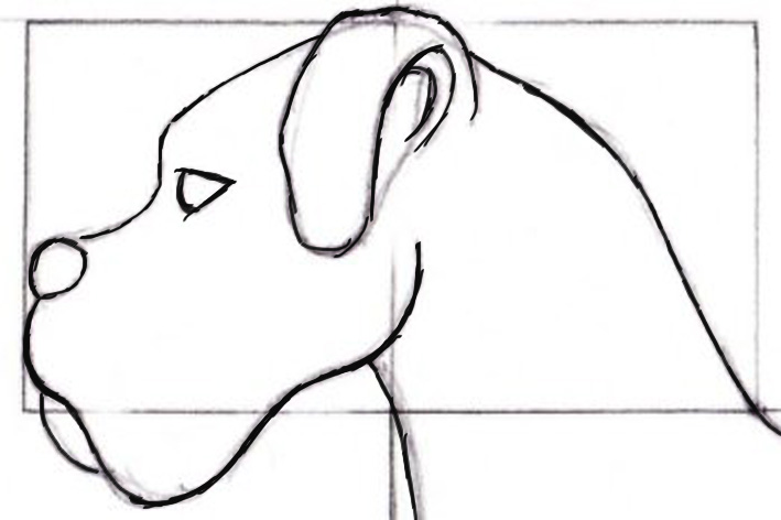 Desenhe Tudo : Desenhar Animais