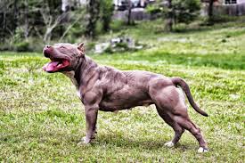 7 giorni per migliorare il tuo modo di steroidi per ricrescita capelli Deve avere un elenco di reti steroidi per ricrescita capelli