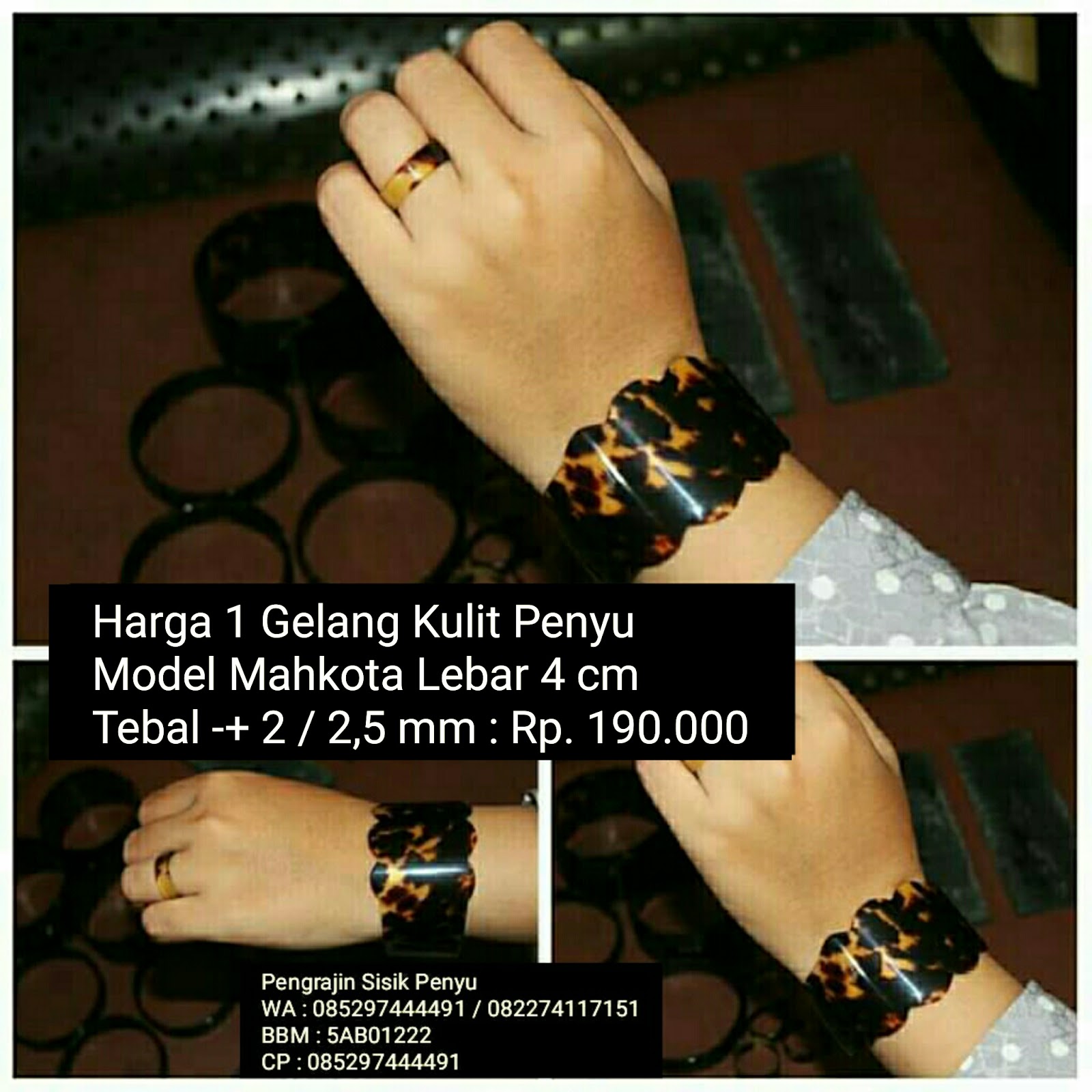 Photogrid Gelang Kulit Penyu Sisik Pendok Kea Lebar Patru Cm Model Mahkota Photogrid Gelang Kulit Penyu Sisik Pendok Kea Lebar Patru Cm Model Mahkota