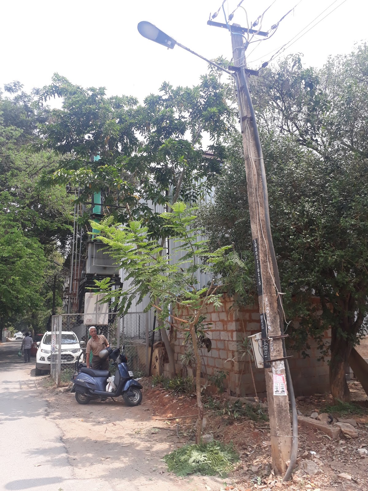 Langford Town Tree Guard