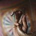 Beijo mortal: serpente morde turista em pleno espetáculo na Índia