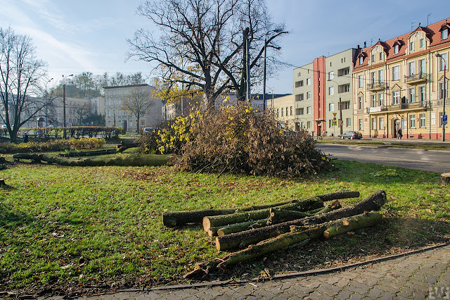 Budowa trasy tramwajowej na ulicy Kujawskiej w Bydgoszczy