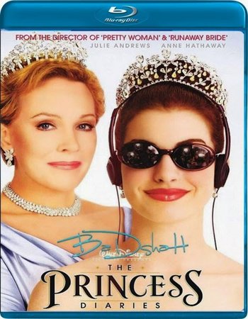 The Princess Diaries (2001) Dual Audio Hindi 480p BluRay 300MB