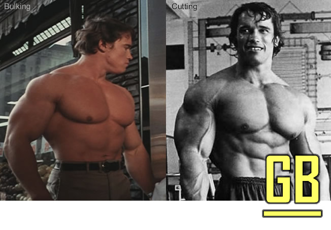 30 Minute Arnold schwarzenegger bulking workout for push your ABS