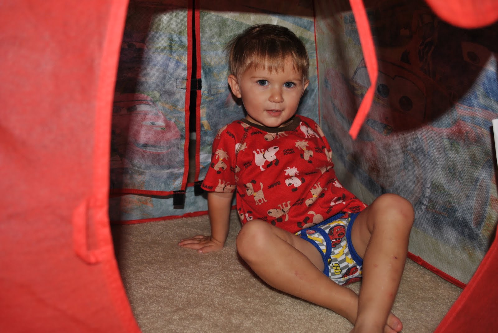 The Blogging Brady Diary of a Potty Training Mom Day 1