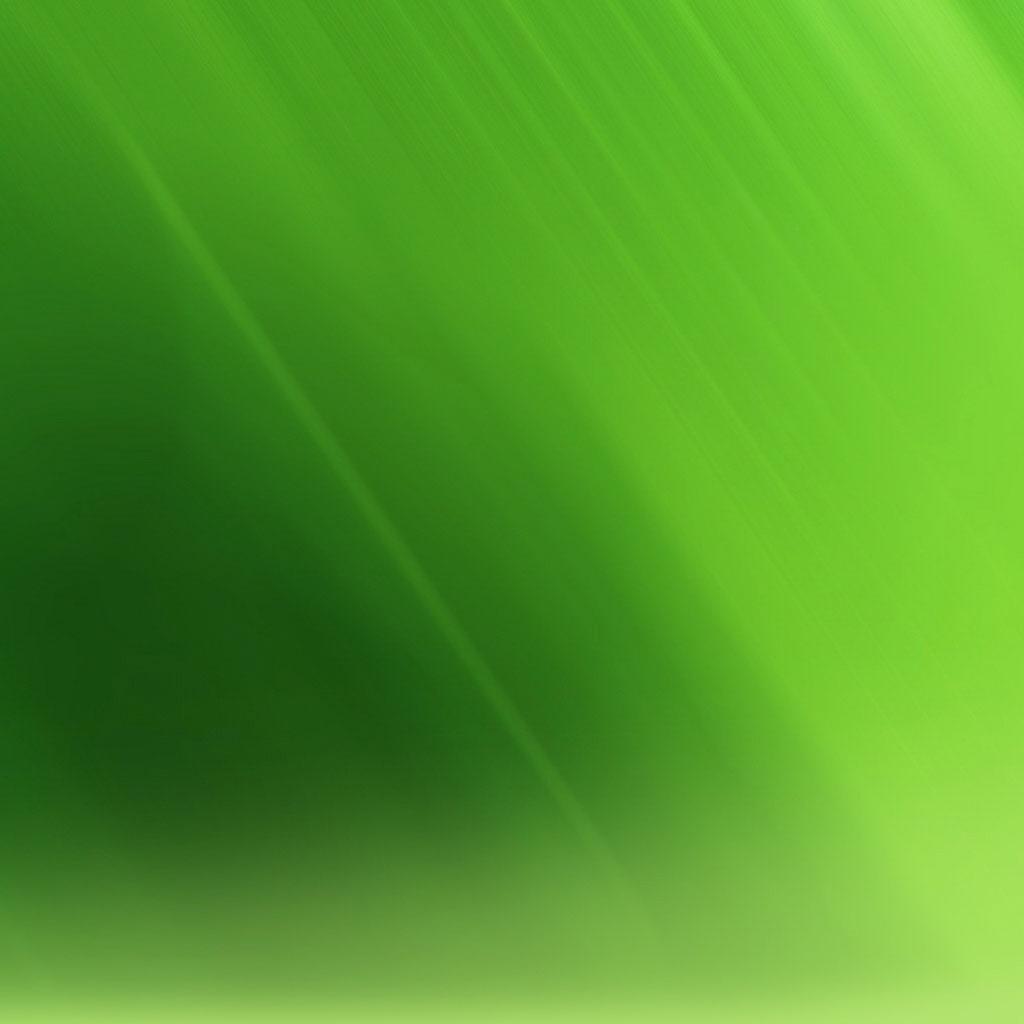 https://4.bp.blogspot.com/-2hAWWVYz8U4/T2wCaTcbzRI/AAAAAAAAC7E/2q1MXN0LZlU/s1600/simple_cool_green_wallpaper_art_ipad_hd_wallpapers_1024x1024.jpg