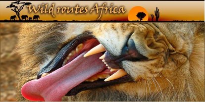 WILD ROUTES AFRICA