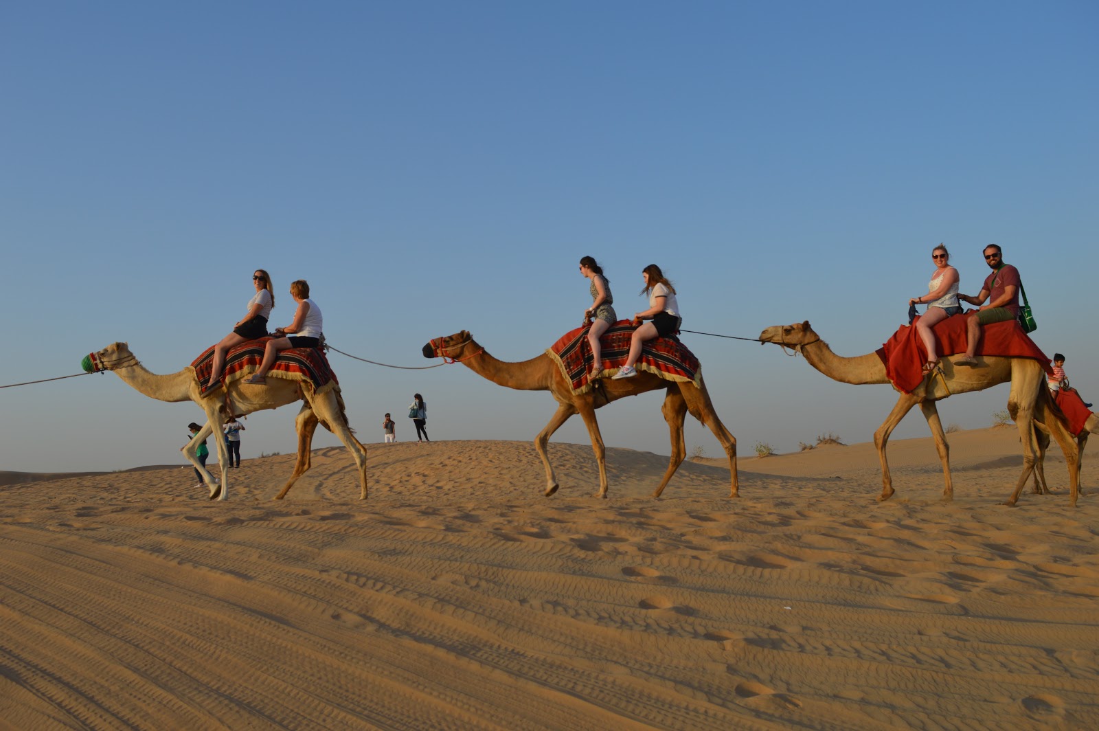 doctorsea: Cheap Desert Safari Dubai - Deals & Packages