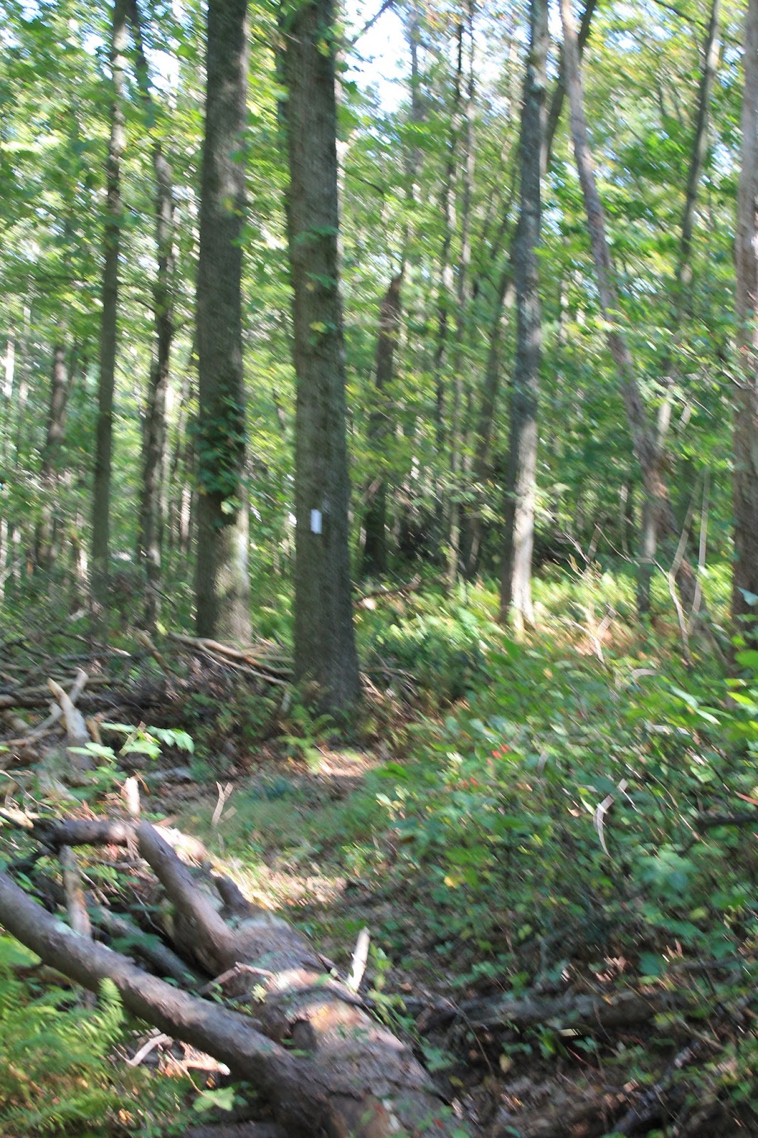 Bay Circuits Bay Circuit Trail Rowley MA The Rural Rowley Role.