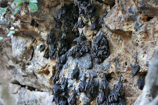 pura goa lawah klungkung