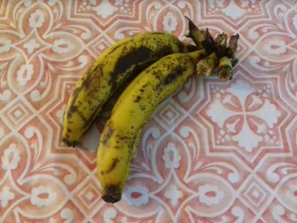 Como fazer banana de churrasqueira no microondas banana de churrasqueira no microondas