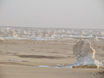 White Desert rocks from a distance, Western Desert Oasis Loop