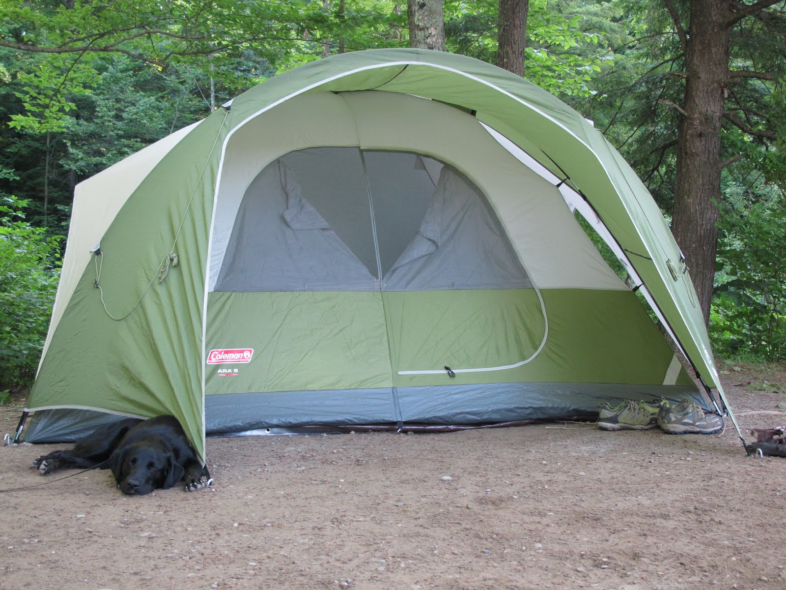 Don't Be Made a Fool! Fun Camping Pranks from VSP