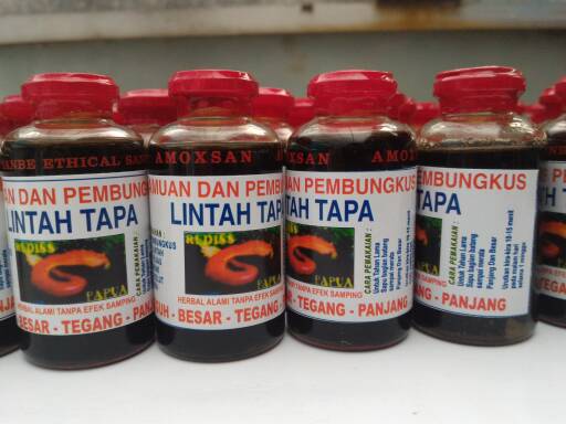 minyak lintah tapa asli kalimantan obat tradisional minyak lintah tapa asli kalimantan obat tradisional