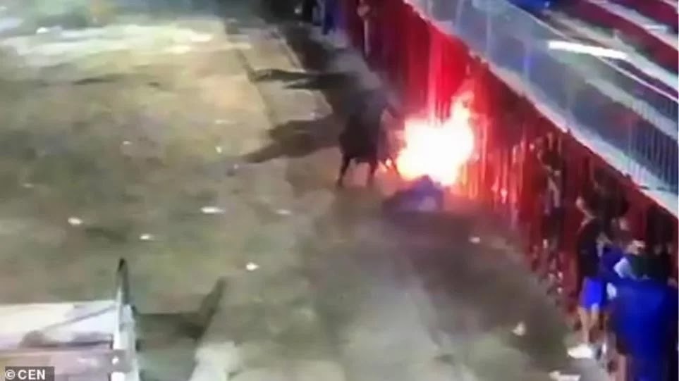 «Φλεγόμενος» ταύρος καρφώνει με τα κέρατα και σκοτώνει 71χρονο στην Ισπανία (βίντεο) «Φλεγόμενος» ταύρος καρφώνει με τα κέρατα και σκοτώνει 71χρονο στην Ισπανία (βίντεο)