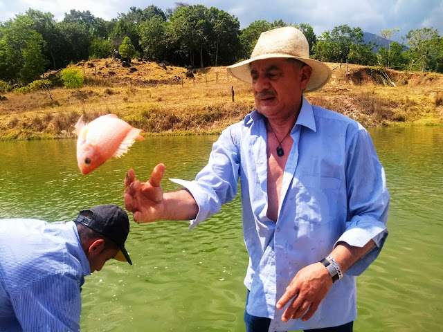Campo Emilio, el pescador, en plena faena laboral, en predios rurales de Carmen de Apicalá, donde se produjo el milagroso hallazgo. Foto: La Pluma & La Herida 