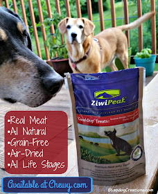 Teutul & Sophie think #ZiwiPeak Good-Dog Venison #dogtreats are delish! All Natural, Real Air-Dried Meat, Grain-Free and Suitable for All Life Stages! #ChewyInfluencer ©LapdogCreations