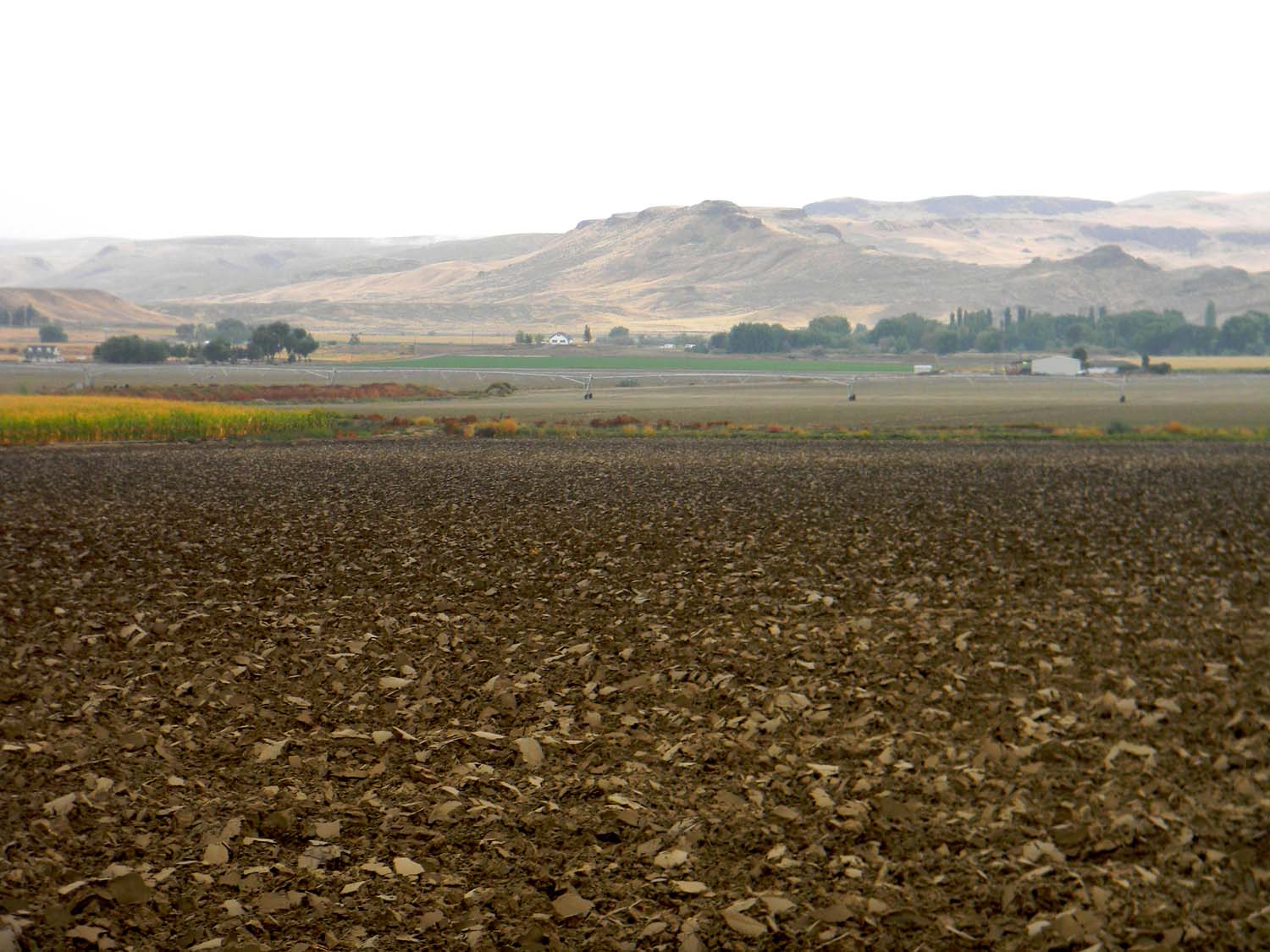 Owyhee Agriculture Wet Weather