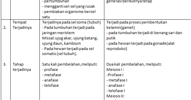 Contoh Soal Essay Biologi Kelas Xii Semester 1 Beserta Jawaban Part 4 Kumpulan Soal Materi Sekolah