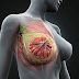 Women in China Rarely Get Breast Cancer and Here Is Why