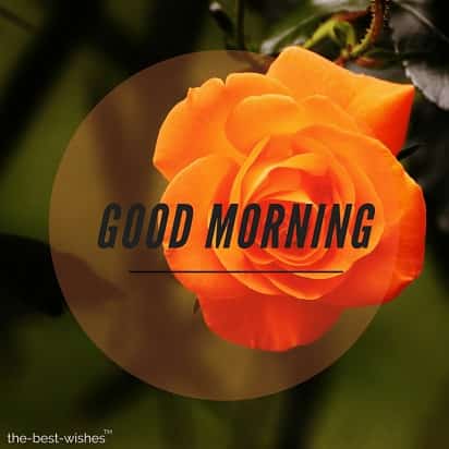 happy-monday-images-for-whatsapp happy monday images for whatsapp