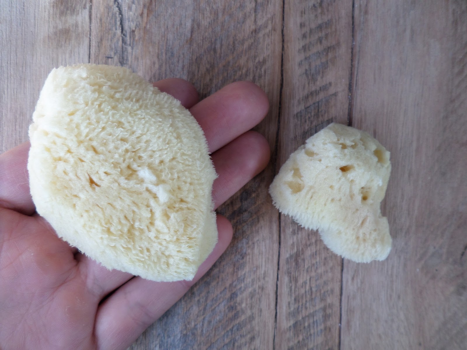 Review WomanKind Menstrual Sponges Oh Glow