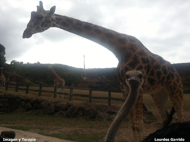 Una trabajadora estrella