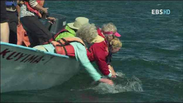 악마가된 귀신고래 이야기 | 인스티즈