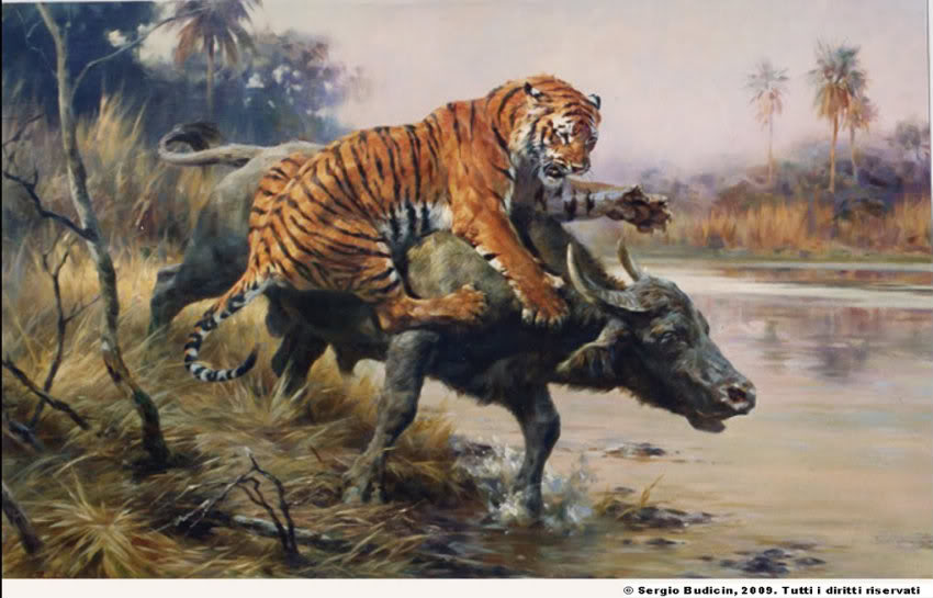 Harimau Jawa lambang Pajajaran Punah? - Historiana