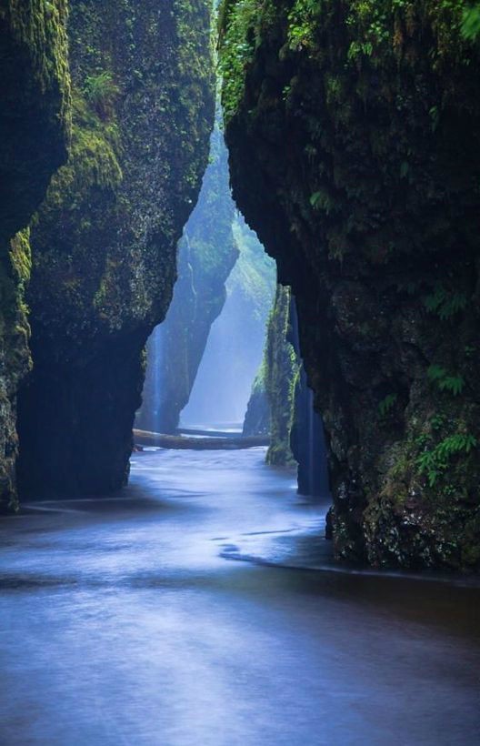 Oneonta Narrows, Oregon, USA