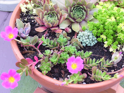 Talking to Plants: Pruning: It Was a Bloodbath