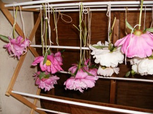 Bringing peonies home - peonies hung to dry www.BoHoHome.com @bohosusan