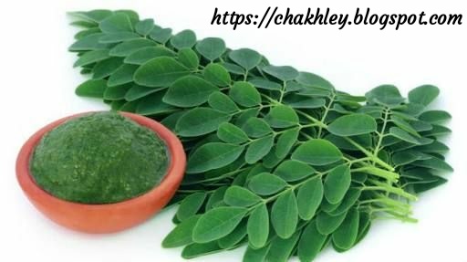 How to make moringa leaves powder, weight loss recipe