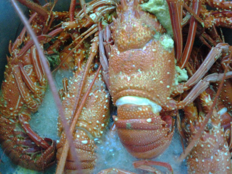 Lobster Recipe Filipino Style Nice Pictures