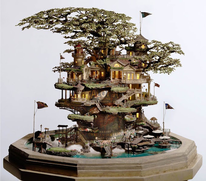 KREATIF, INSPIRASI  & MINIATUR BONSAI JAPAN