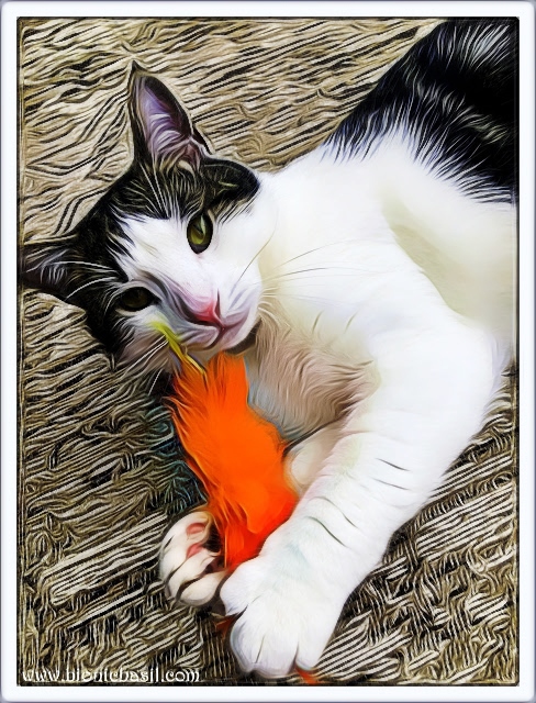 Melvyn and The Furry Carrot @BionicBasil® Puzzle