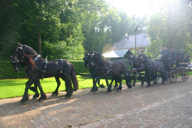 Royal Orange Guards and Horses