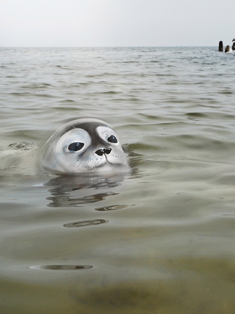 02-Seal-Gesine-Marwedel-Body-Painting-on-Location-including-Water-www-designstack-co
