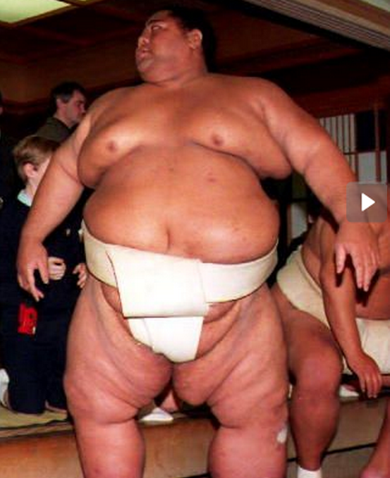Gay Sumo Wrestlers 80