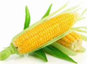 5 Manfaat Jagung Manis Untuk Kesehatan 5 Manfaat Jagung Manis Untuk Kesehatan