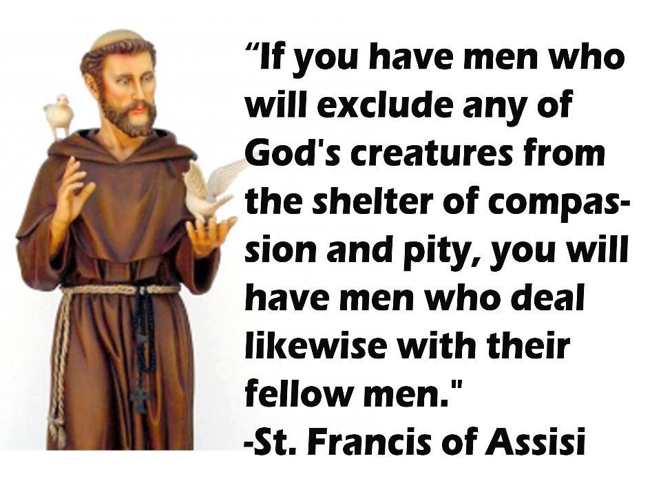 Little Plant of St. Francis: Wisdom of St. Francis of Assisi