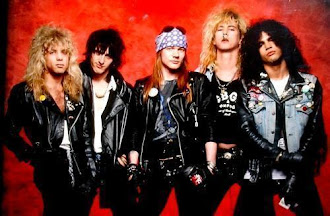 Little About Guns N' Roses