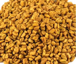 Fenugreek is the winter vegetable which contain (Vitamin A, B, C), iron, fatty force and calcium in large quantities. It is used in sub-continent to eat. Its leaves not only helpful but seeds are also used for treatment. Because potassium in large amounts in its seed that prevents blood pressure from growing.
