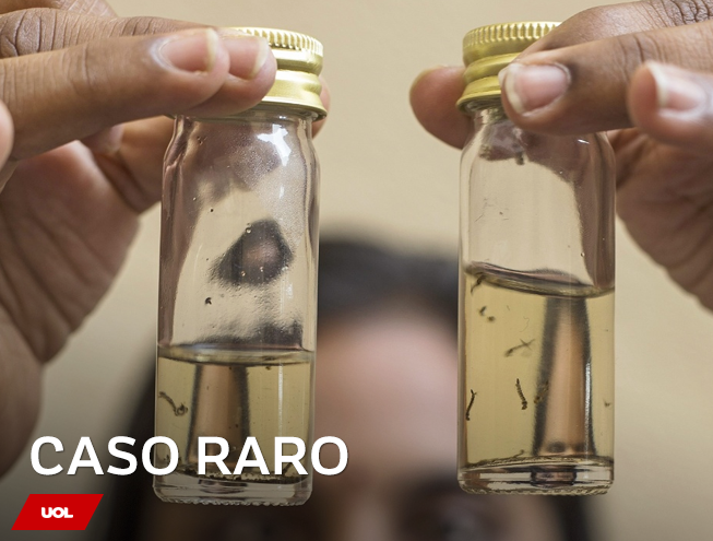 FALASCOCRI Mulher Morre Do Cora o Ap s Tipo Raro De Dengue No 