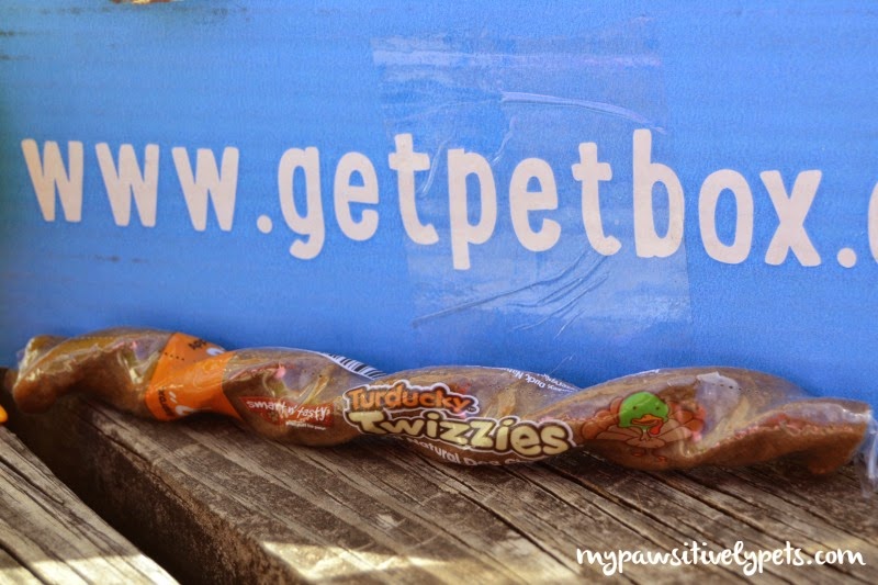 January PetBox Review and Giveaway Pawsitively Pets